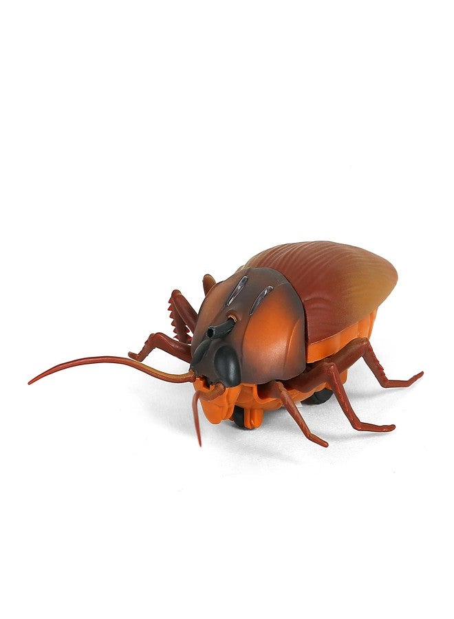 Hamleys Lifelike Moving Cheeky Cockroach, 6Y+, Brown | Safe & Gift-Friendly - Image 2